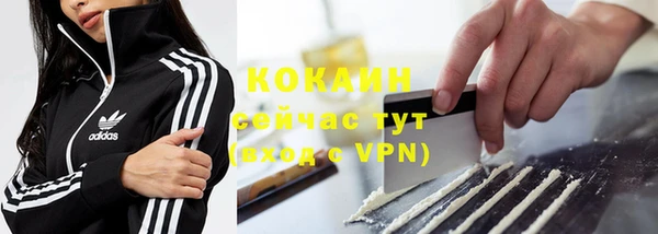 соль ск Абаза
