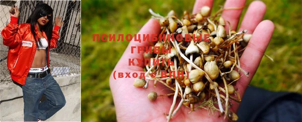 соль ск Абаза
