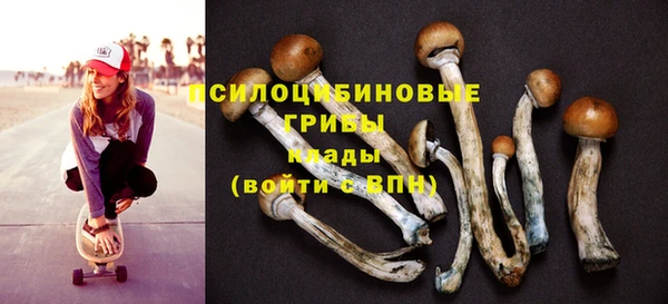 спайс Абинск