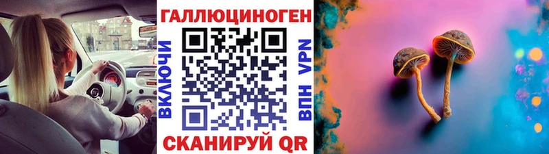 Галлюциногенные грибы мицелий  МЕГА   Благовещенск  купить  